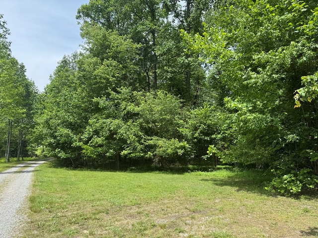 LOT3 Still Meadows Ct, Young Harris, GA 30582