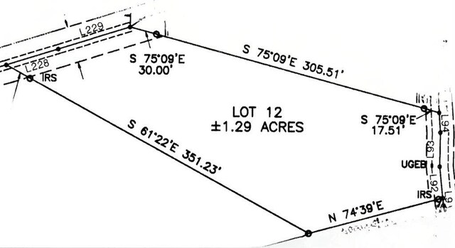 LOT12 Cricket Ln, Warne NC, 28909 land for sale