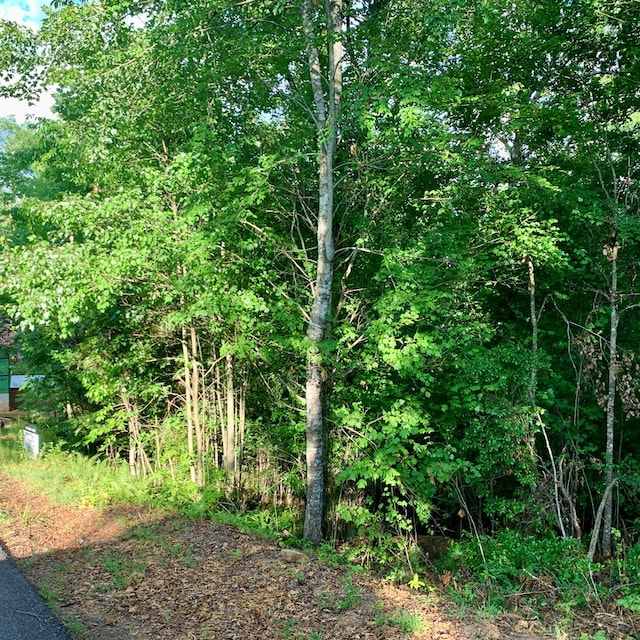 Listing photo 2 for LOT12 Cricket Ln, Warne NC 28909