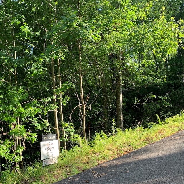 Listing photo 3 for LOT12 Cricket Ln, Warne NC 28909