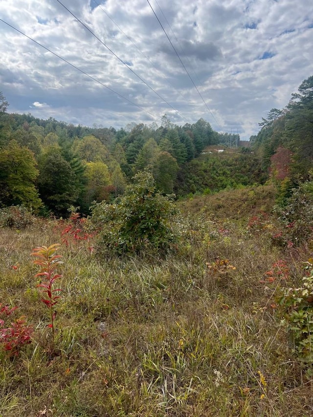 TBD John Taylor Rd, Murphy NC, 28906 land for sale