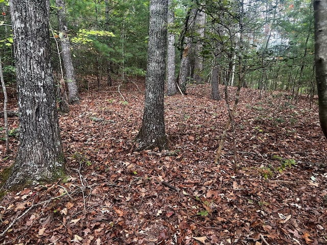 Listing photo 3 for TBD John Taylor Rd, Murphy NC 28906