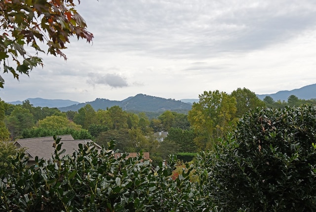 1507 Cedar View Ln, Hiawassee, GA 30546 - mountain view