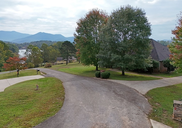 view of community featuring a mountain view and a lawn