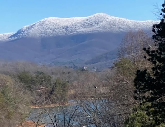 1507 Cedar View Ln, Hiawassee, GA 30546 - view of mountain feature featuring a forest view