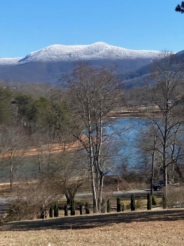 1507 Cedar View Ln, Hiawassee, GA 30546 - mountain view