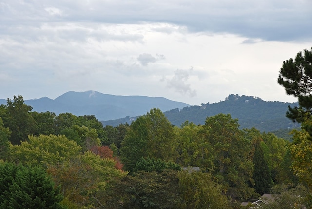 1507 Cedar View Ln, Hiawassee, GA 30546 - mountain view featuring a forest view