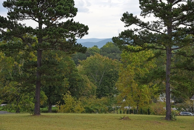 1507 Cedar View Ln, Hiawassee, GA 30546 - view of property's community featuring a yard, a forest view, and a mountain view