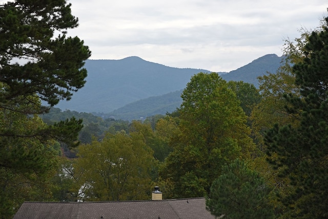 1507 Cedar View Ln, Hiawassee, GA 30546 - property view of mountains with a wooded view