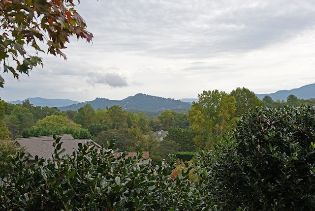 property view of mountains