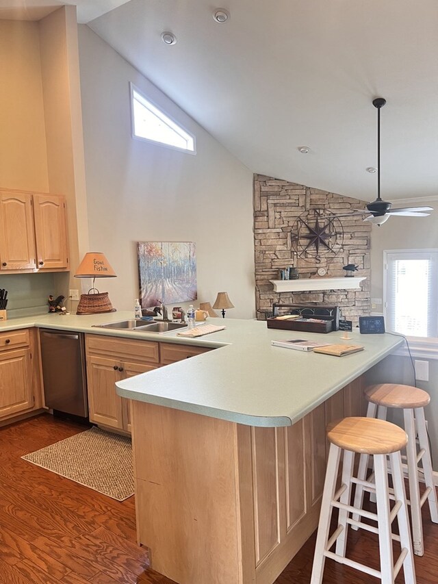 kitchen with plenty of natural light, sink, kitchen peninsula, and stainless steel dishwasher