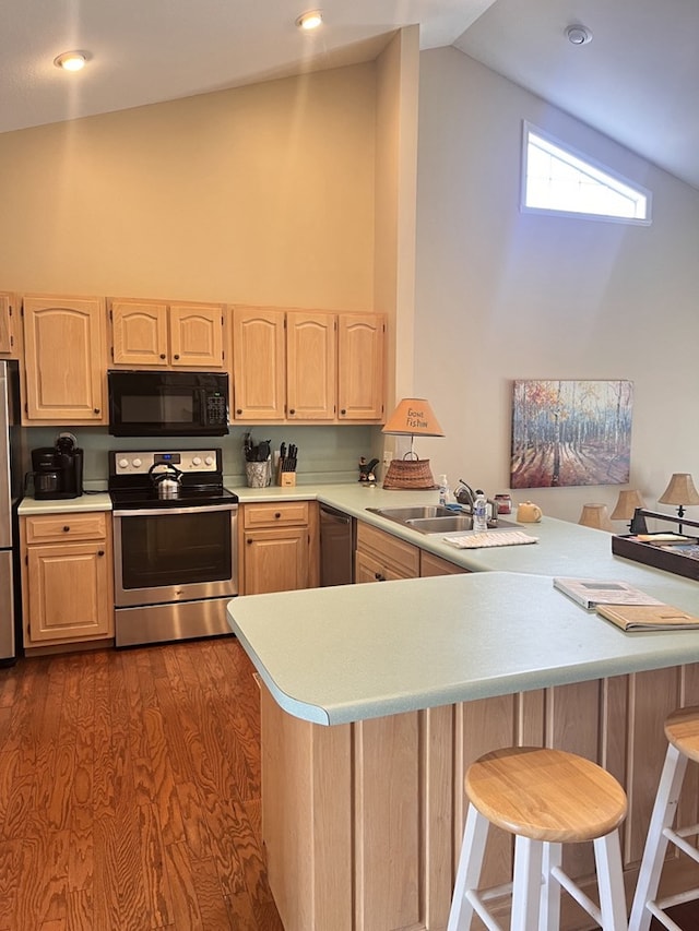 kitchen with stainless steel appliances, kitchen peninsula, and vaulted ceiling