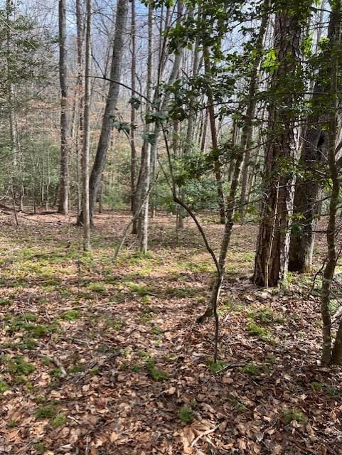 0 Pit Rd, Blairsville GA, 30512 land for sale