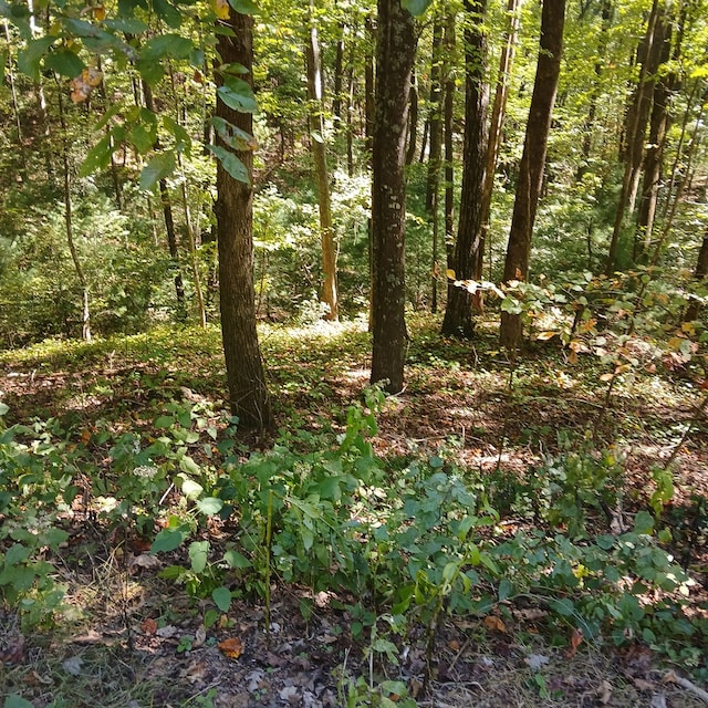 Listing photo 2 for LOT13 Abbott Mill Rd, Ellijay GA 30540