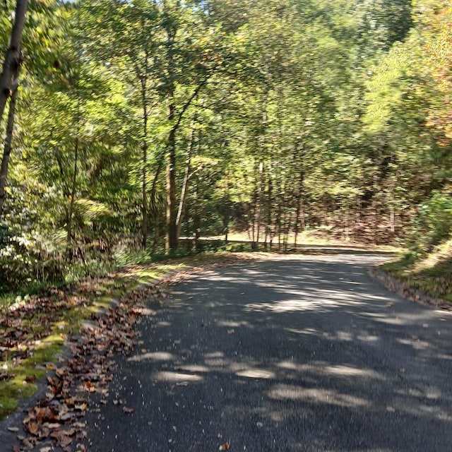 Listing photo 3 for LOT13 Abbott Mill Rd, Ellijay GA 30540