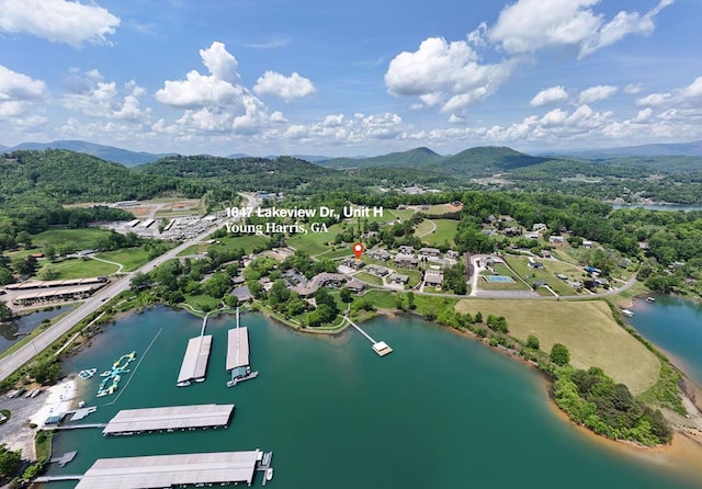 1647-8H Lakeview Dr, Young Harris, GA 30582 - bird's eye view featuring a water and mountain view