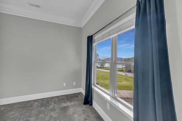 1647-8H Lakeview Dr, Young Harris, GA 30582 - spare room featuring crown molding, carpet flooring, visible vents, and baseboards