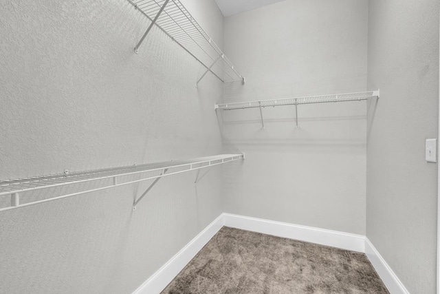 1647-8H Lakeview Dr, Young Harris, GA 30582 - walk in closet with carpet