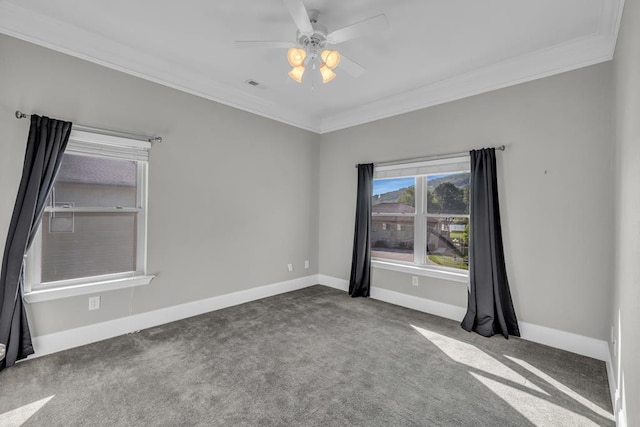 1647-8H Lakeview Dr, Young Harris, GA 30582 - empty room with crown molding, baseboards, and carpet