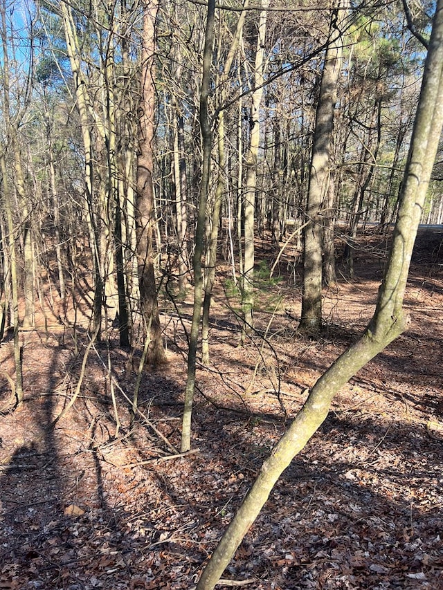 Listing photo 2 for LOT32 Lakeview Cir, Ellijay GA 30536