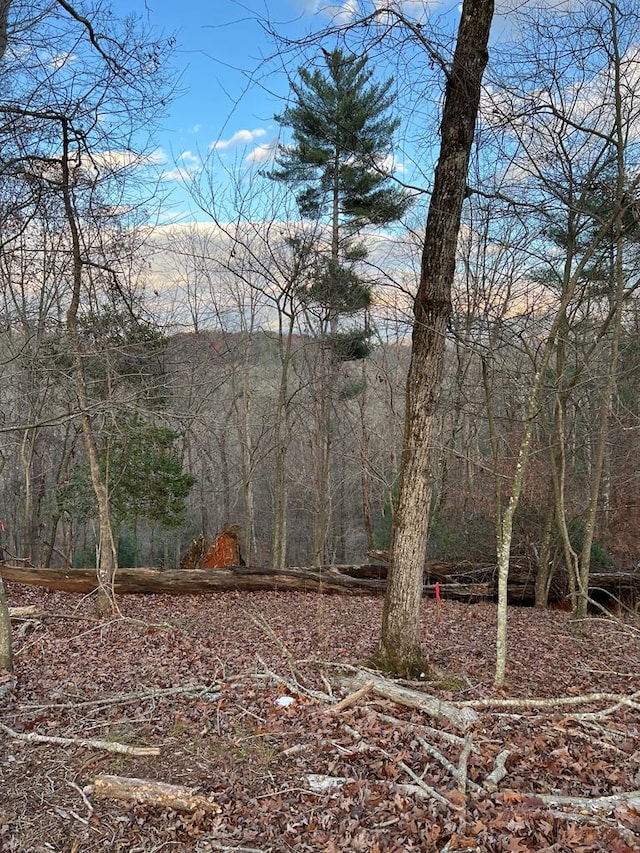 LOT402 Crown Ct, Ellijay GA, 30540 land for sale