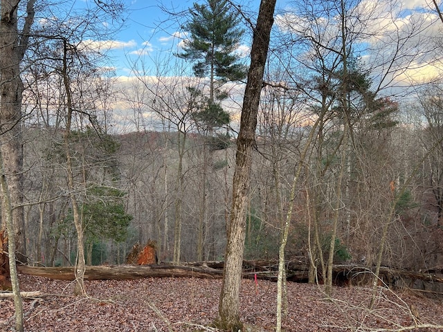 Listing photo 2 for LOT402 Crown Ct, Ellijay GA 30540