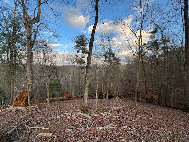 Listing photo 3 for LOT402 Crown Ct, Ellijay GA 30540