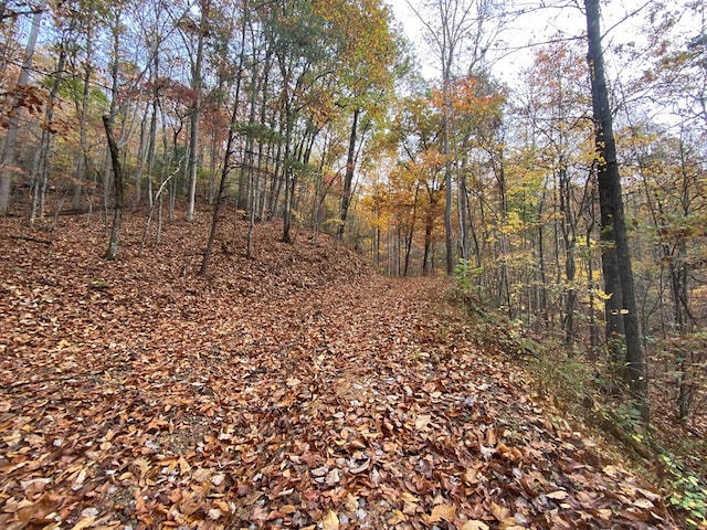 0 Upper Bell Creek Rd, Hayesville, NC 28904