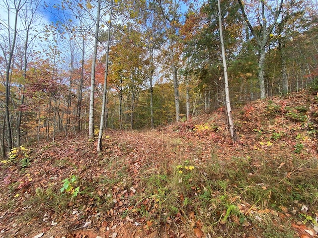0 Upper Bell Creek Rd, Hayesville, NC 28904