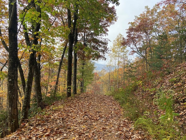 0 Upper Bell Creek Rd, Hayesville, NC 28904