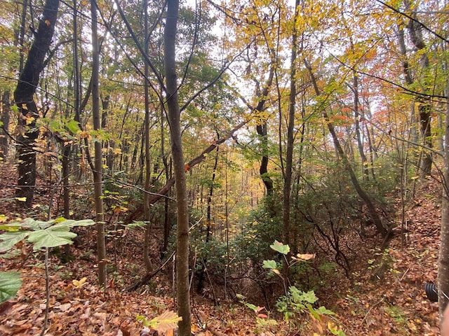 0 Upper Bell Creek Rd, Hayesville, NC 28904