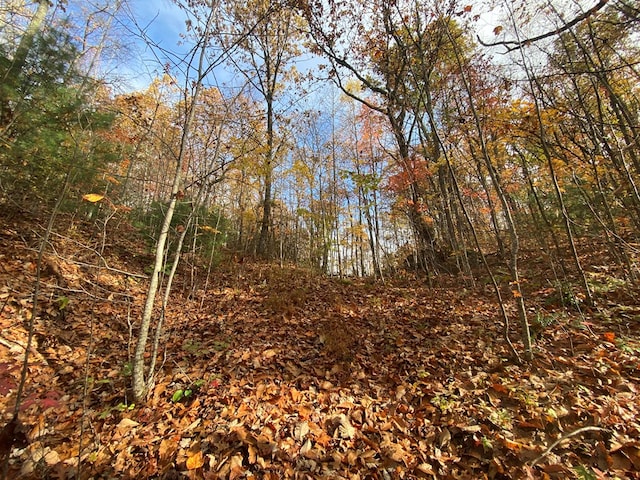 0 Upper Bell Creek Rd, Hayesville, NC 28904