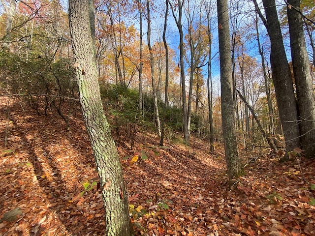 0 Upper Bell Creek Rd, Hayesville, NC 28904