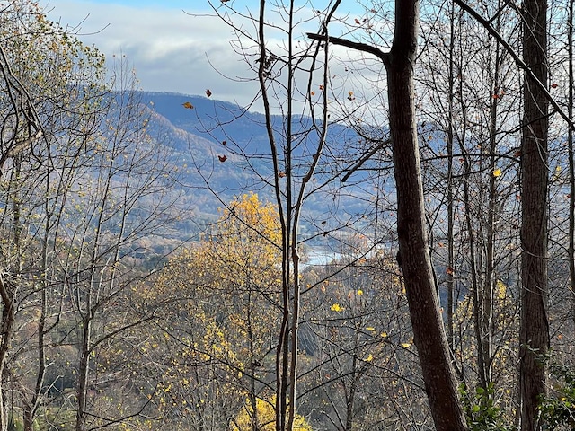 TRACT1 Hidden Summit Rd, Hiawassee, GA 30546