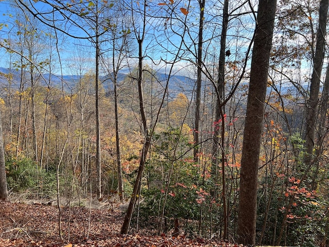 Listing photo 3 for TRACT1 Hidden Summit Rd, Hiawassee GA 30546