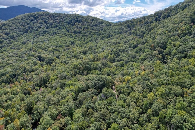 view of mountain feature