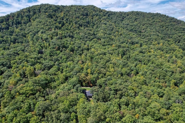 property view of mountains