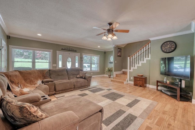 living room featuring ceiling fan, ornamental molding, light hardwood / wood-style flooring, and a textured ceiling