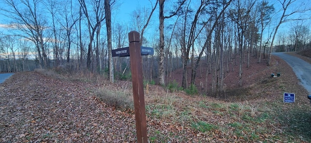 Listing photo 2 for LOT88 Hilton Dr, Ellijay GA 30540