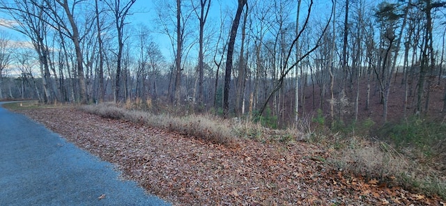 Listing photo 3 for LOT88 Hilton Dr, Ellijay GA 30540