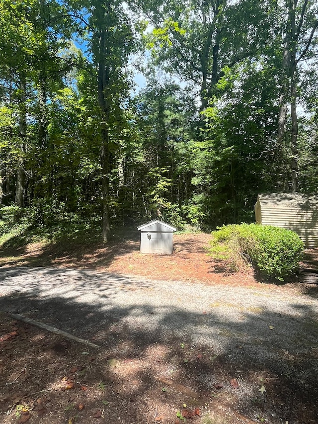 view of yard with a storage shed