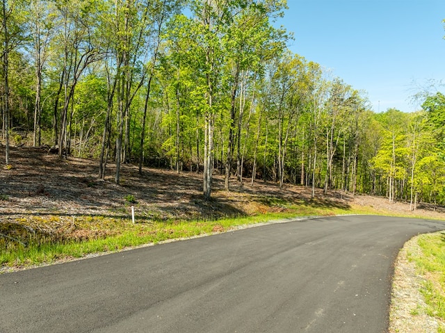 LOT3 Briar Creek Dr, Morganton, GA 30560