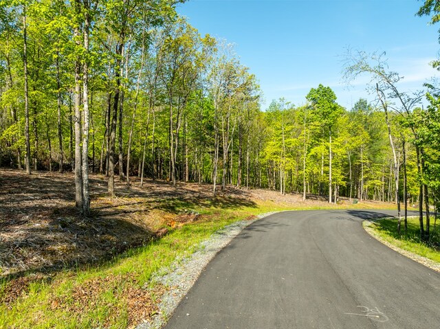 LOT3 Briar Creek Dr, Morganton, GA 30560