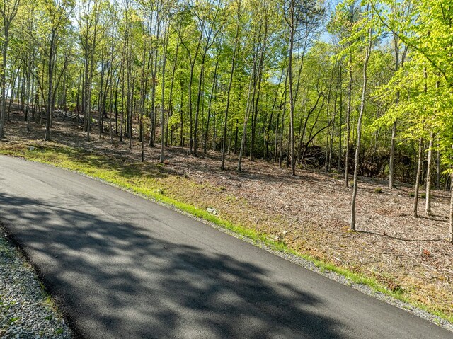 LOT3 Briar Creek Dr, Morganton, GA 30560
