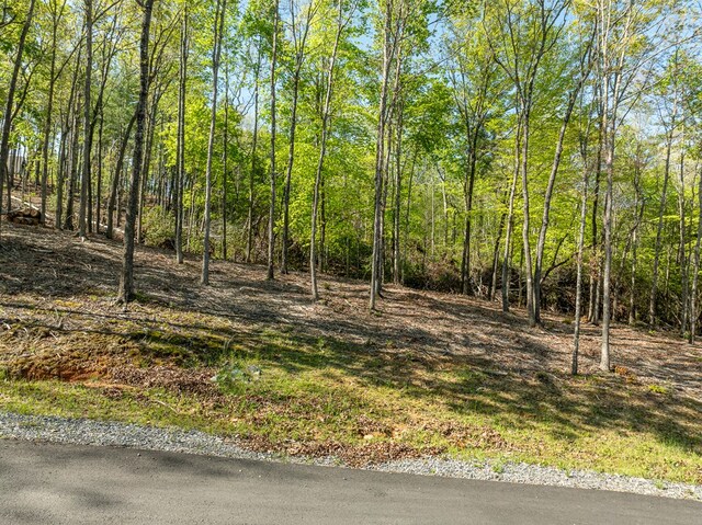 LOT3 Briar Creek Dr, Morganton, GA 30560