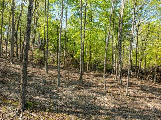 LOT3 Briar Creek Dr, Morganton, GA 30560