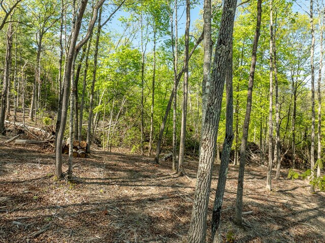 LOT3 Briar Creek Dr, Morganton, GA 30560
