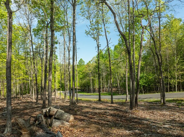 LOT3 Briar Creek Dr, Morganton, GA 30560