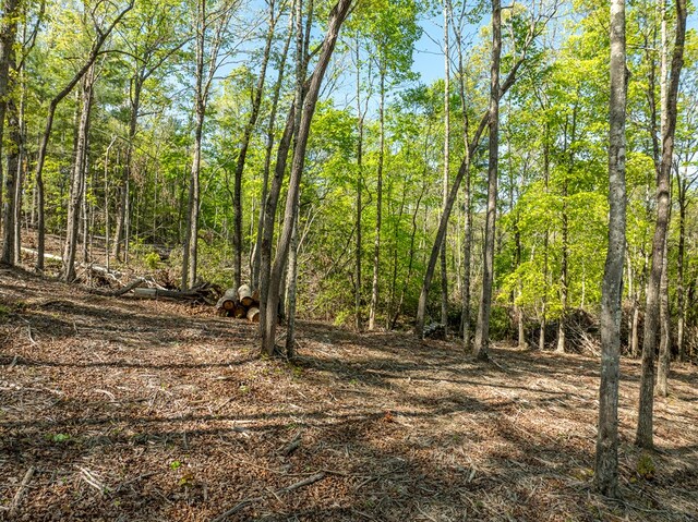 LOT3 Briar Creek Dr, Morganton, GA 30560