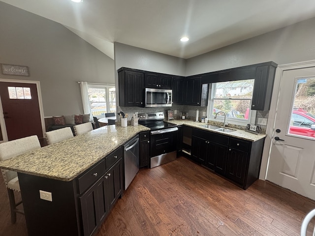 kitchen with sink, appliances with stainless steel finishes, a kitchen breakfast bar, dark hardwood / wood-style floors, and light stone counters